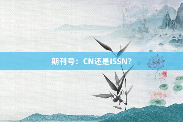 期刊号:CN还是ISSN?