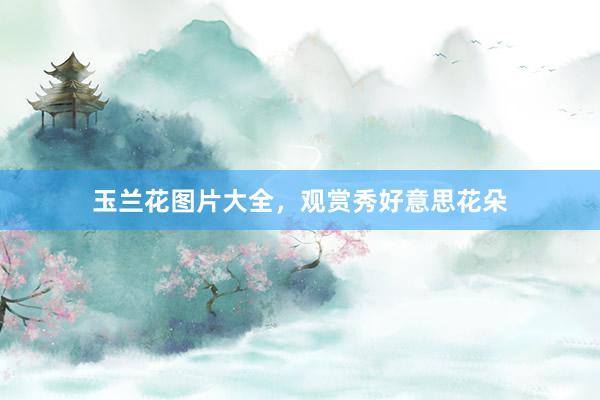 玉兰花图片大全,观赏秀好意思花朵