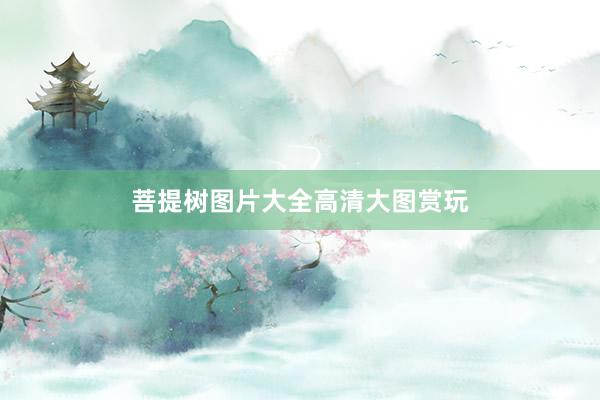 菩提树图片大全高清大图赏玩
