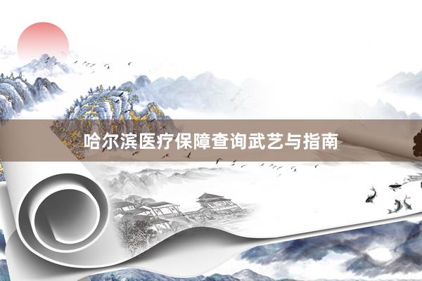 哈尔滨医疗保障查询武艺与指南
