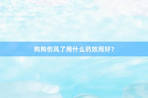 狗狗伤风了用什么药效用好？
