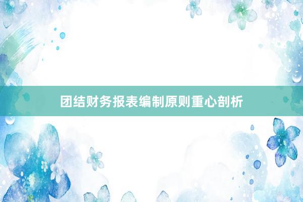 团结财务报表编制原则重心剖析